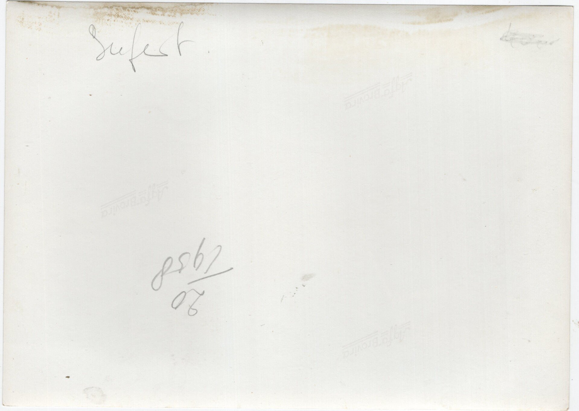 Original WW2 German Press Photo - Hermann Göring leaving the office of the Wehrmachtbefehlshaber den Niederlanden Friedrich Christiansen, Groot-Haesebroek, Wassenaar, Holland (1942) — image 2