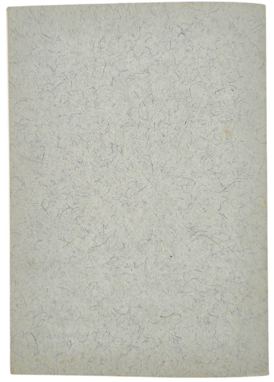 Original WW2 Dutch LBD Brochure - Luchtbescherming Voorschriften lichtuitstraling (1941) — image 5