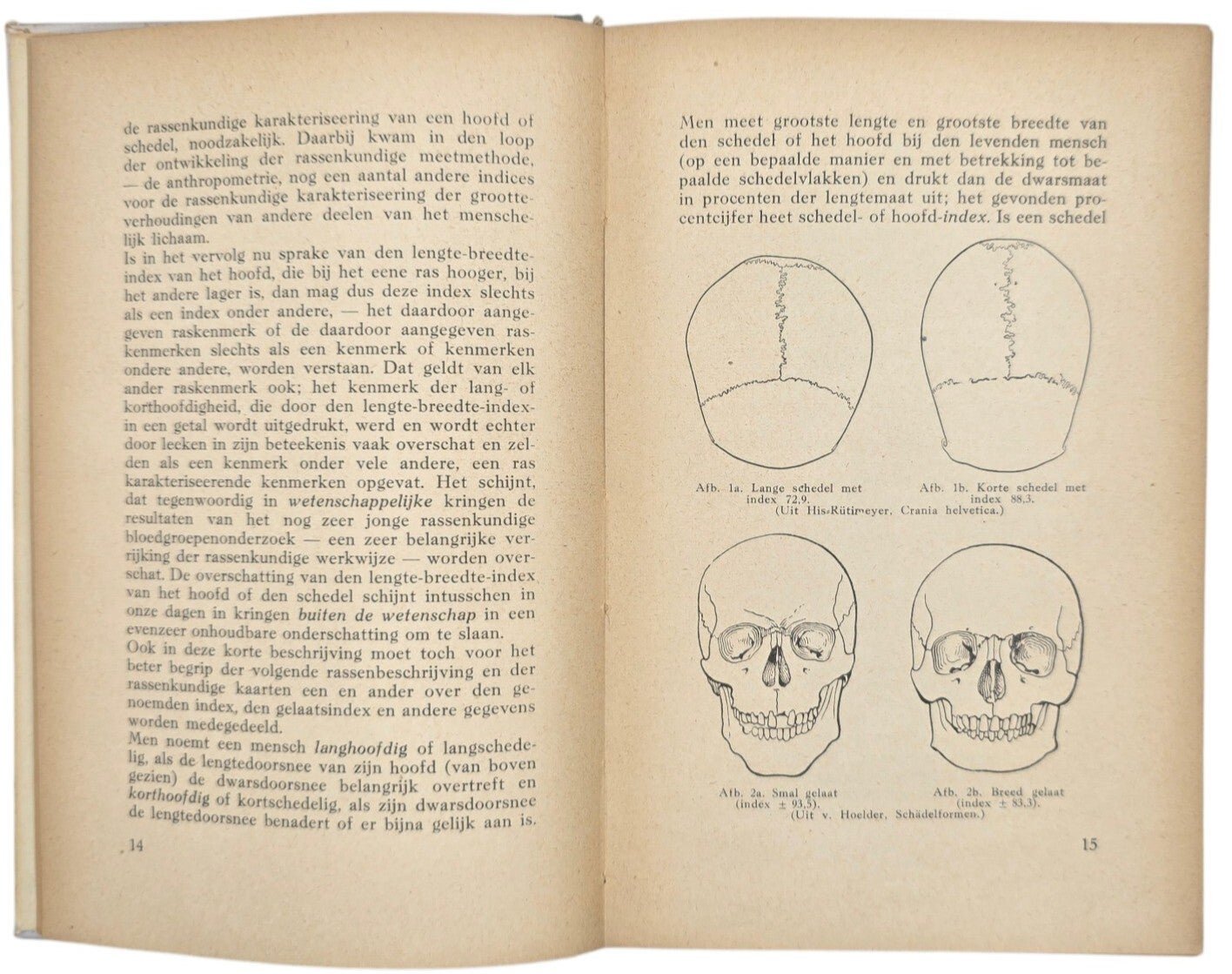 Original WW2 Dutch Collaboration NSB Book - Beknopte Rassenkunde der Germaansche Volken, Dr. Hans F. K. Günther (1942) — image 4