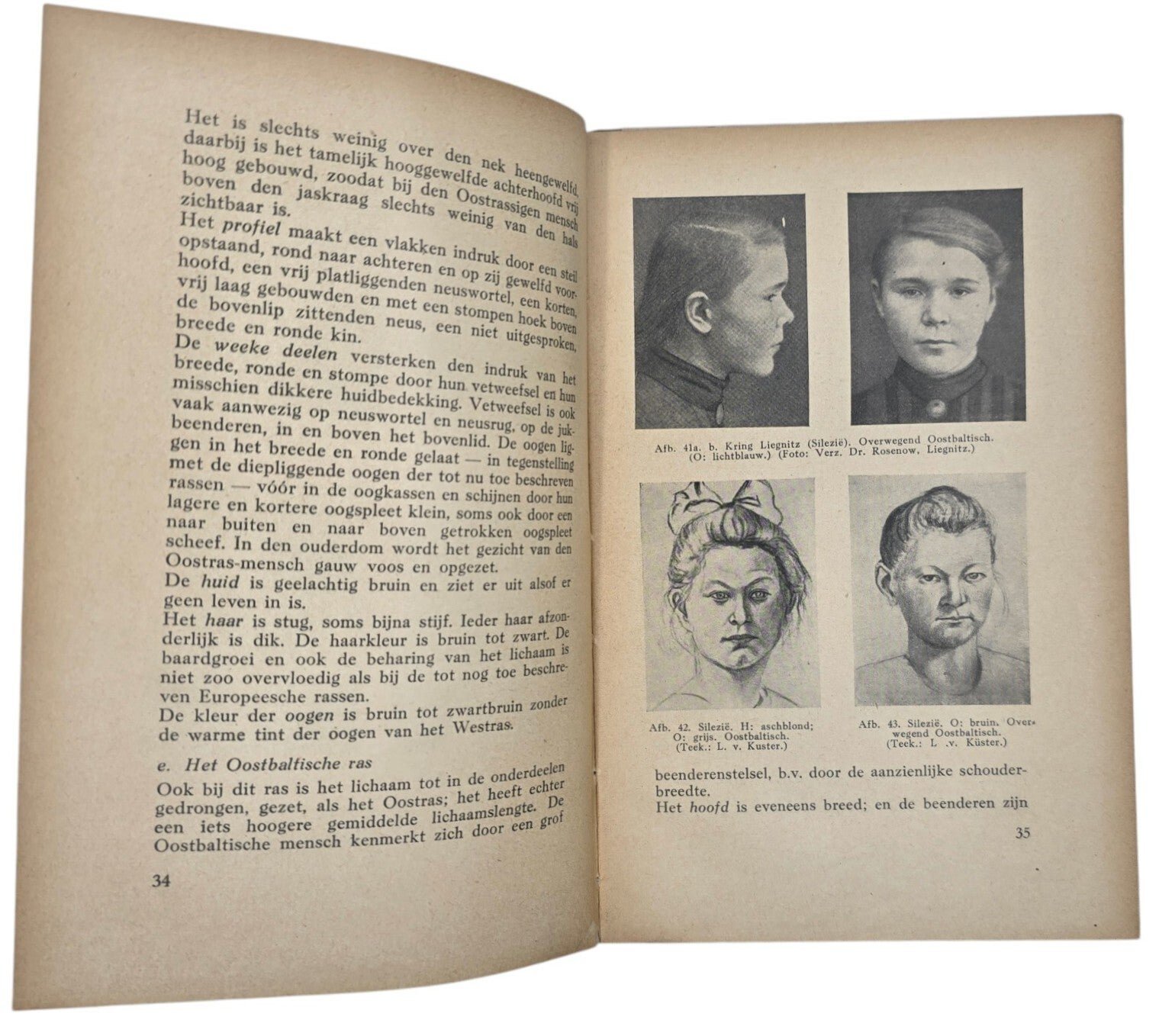 Original WW2 Dutch Collaboration NSB Book - Beknopte Rassenkunde der Germaansche Volken, Dr. Hans F. K. Günther (1942) — image 6