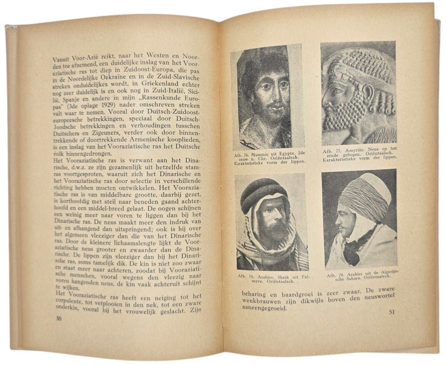Original WW2 Dutch Collaboration NSB Book - Beknopte Rassenkunde der Germaansche Volken, Dr. Hans F. K. Günther (1942) — image 7