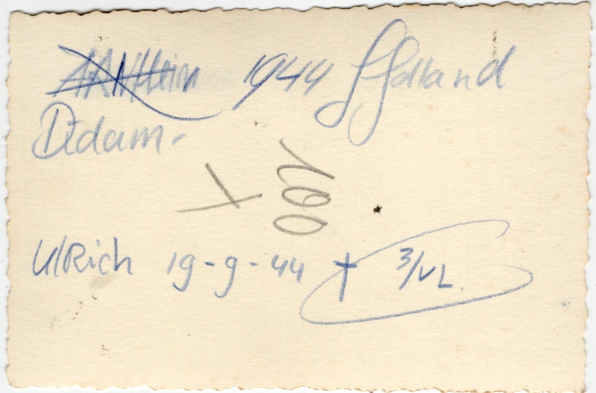 Original WW2 German Waffen SS Photo - Waffen SS soldiers in Didam, Arnhem, Holland (1944) — image 2