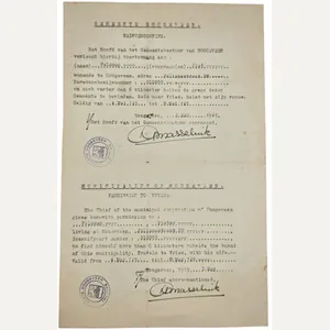 Original WW2 Dutch Document - Travel permit Hoogeveen Vries (1945)