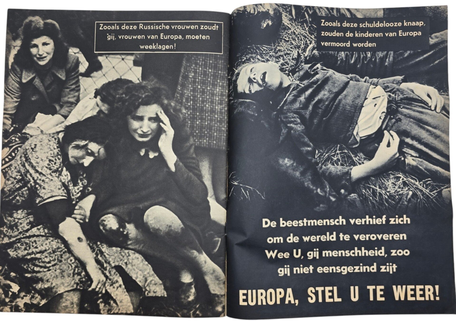 Original WW2 Dutch Anti-semitic Brochure - De Beestmensch (1942) — image 7