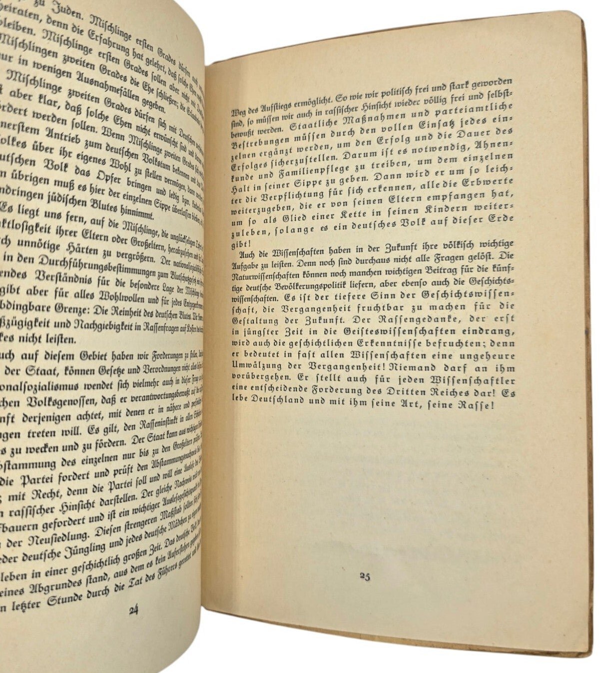 Original WW2 German Brochure - Die Rassenpflege im Dritten Reich, SS-Brigadeführer Arthur Gütt (1940) — image 4