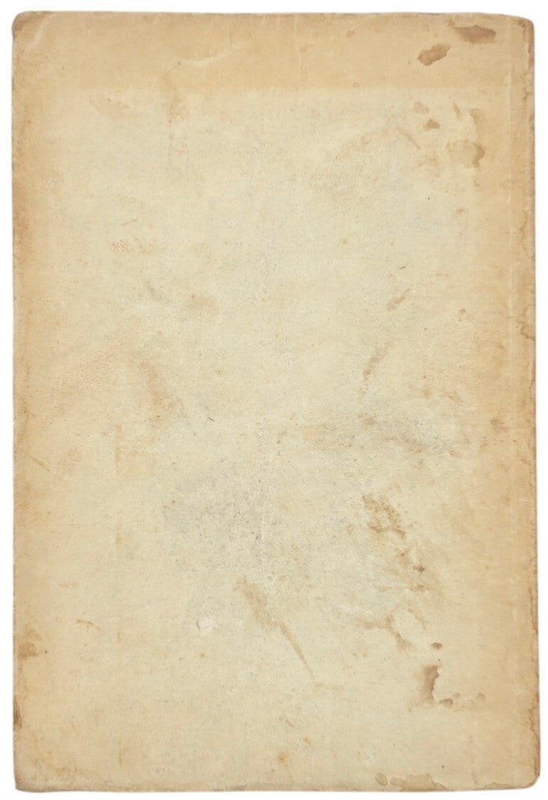 Original WW2 German Brochure - Die Rassenpflege im Dritten Reich, SS-Brigadeführer Arthur Gütt (1940) — image 6