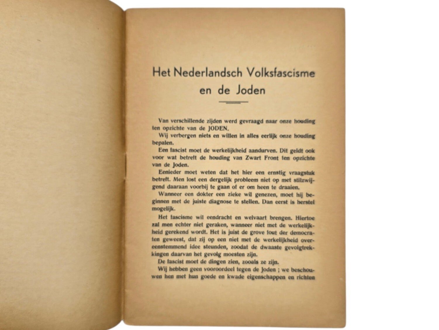Original WW2 Dutch Antisemitic Collaboration Brochure - Het Nederlandsch Volksfascisme en de Joden, Arnold Meijer, Zwart Front (1935) — image 3