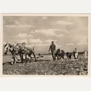 Original WW2 German Waffen SS Postcard - Unsere Waffen SS …