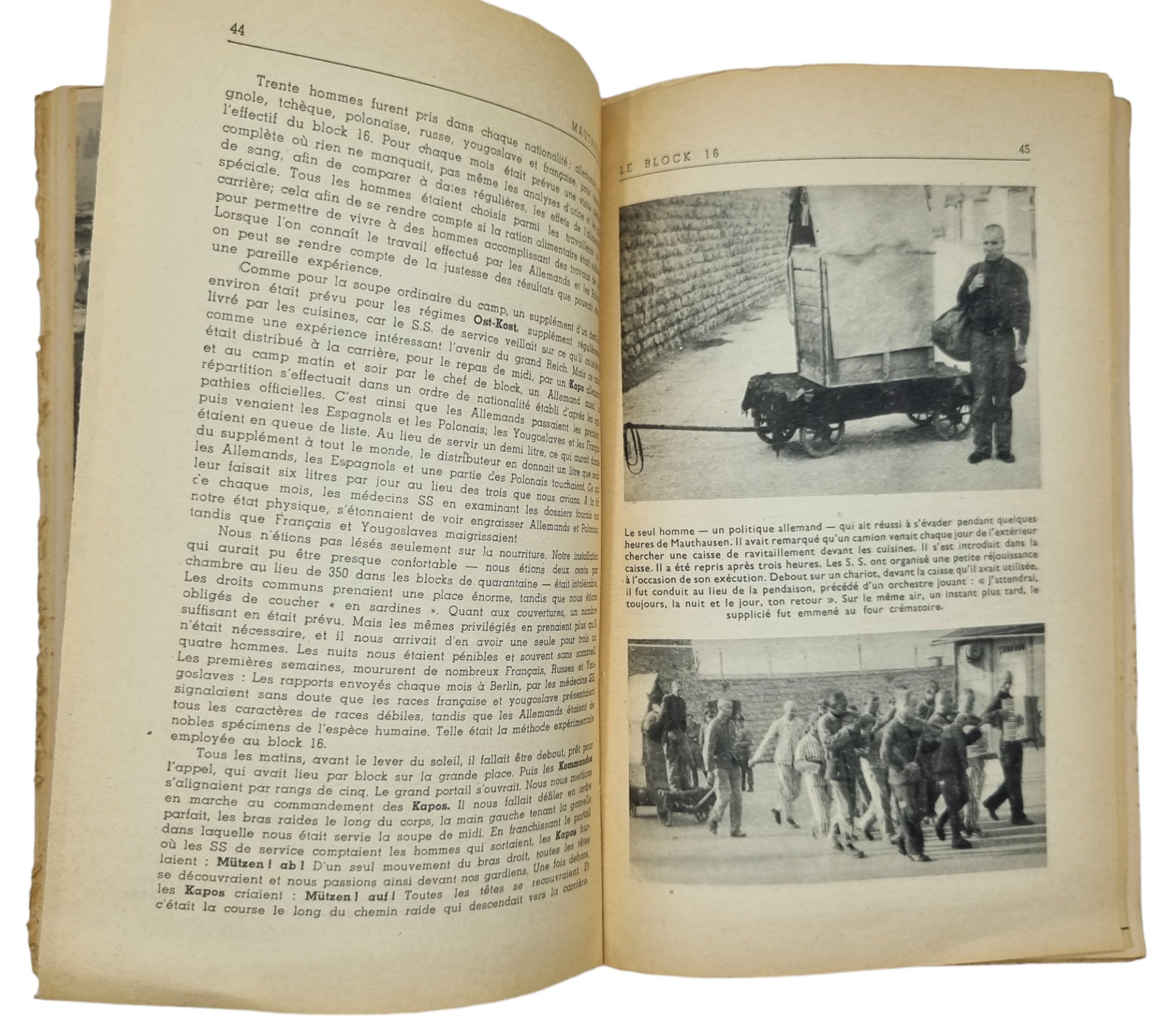 Original WW2 French Brochure - Mauthausen, Paul Tillard (1945) — image 10