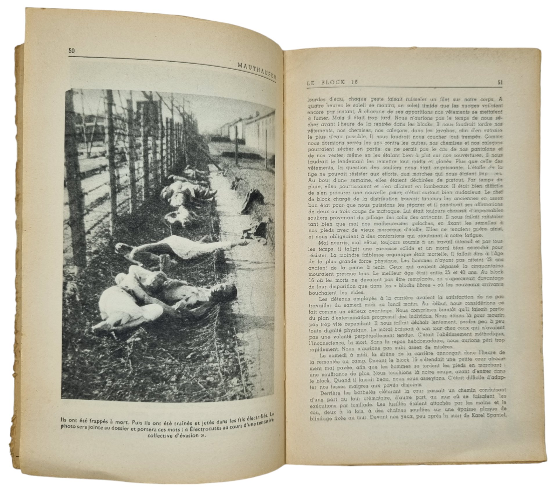 Original WW2 French Brochure - Mauthausen, Paul Tillard (1945) — image 11