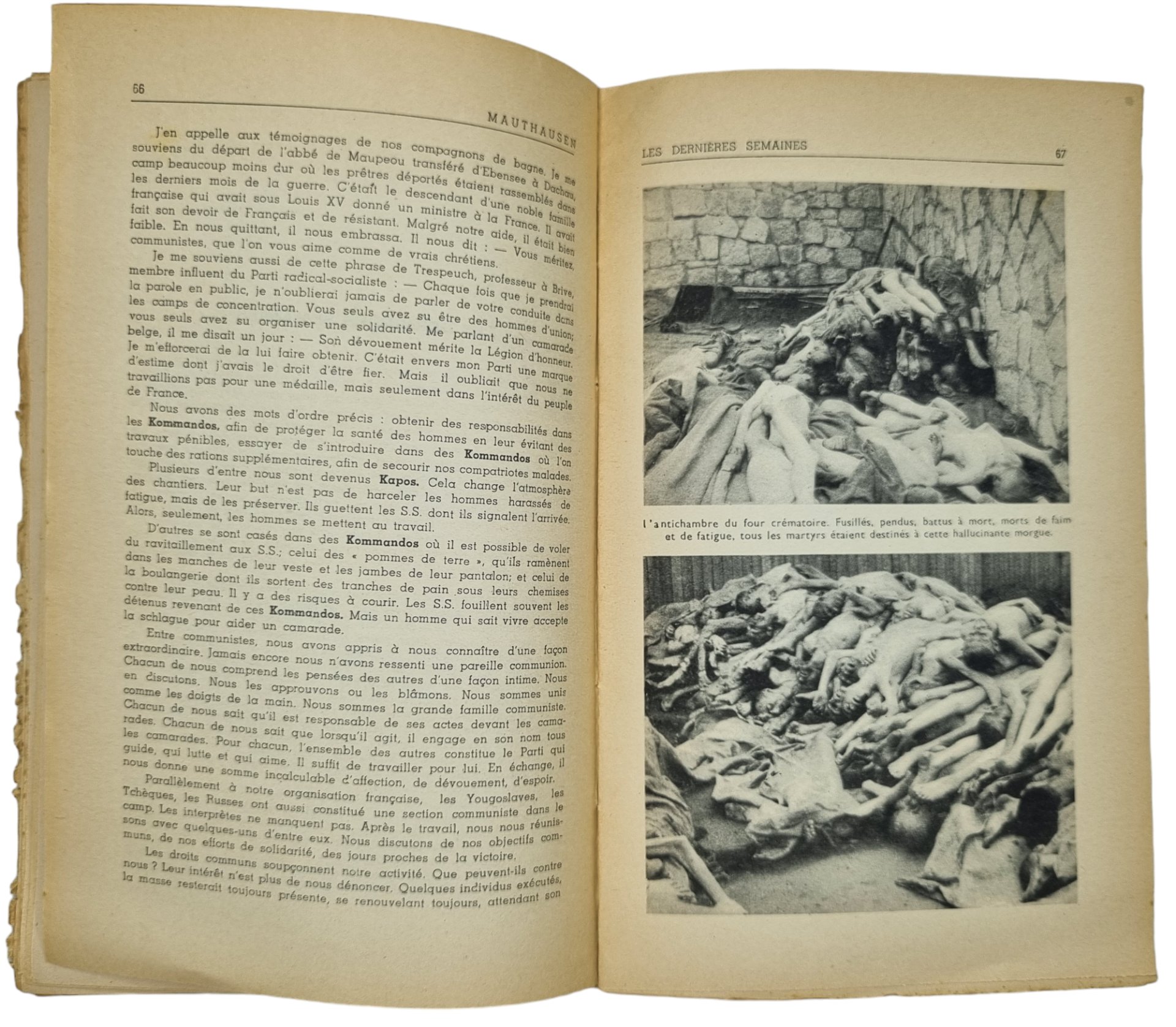 Original WW2 French Brochure - Mauthausen, Paul Tillard (1945) — image 13