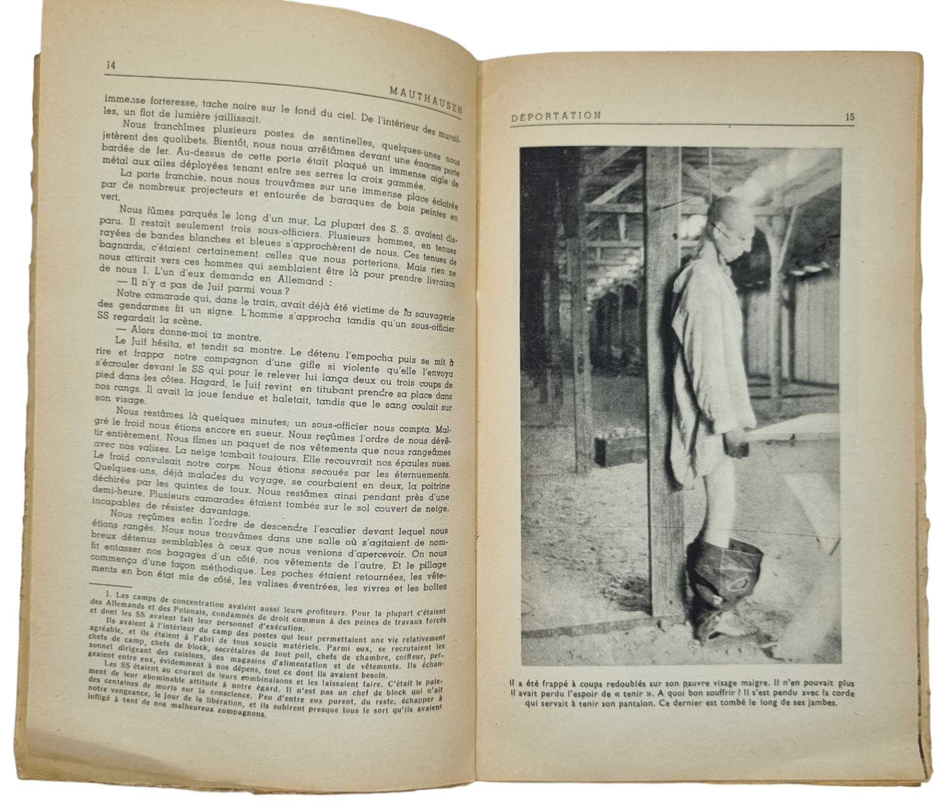 Original WW2 French Brochure - Mauthausen, Paul Tillard (1945) — image 6
