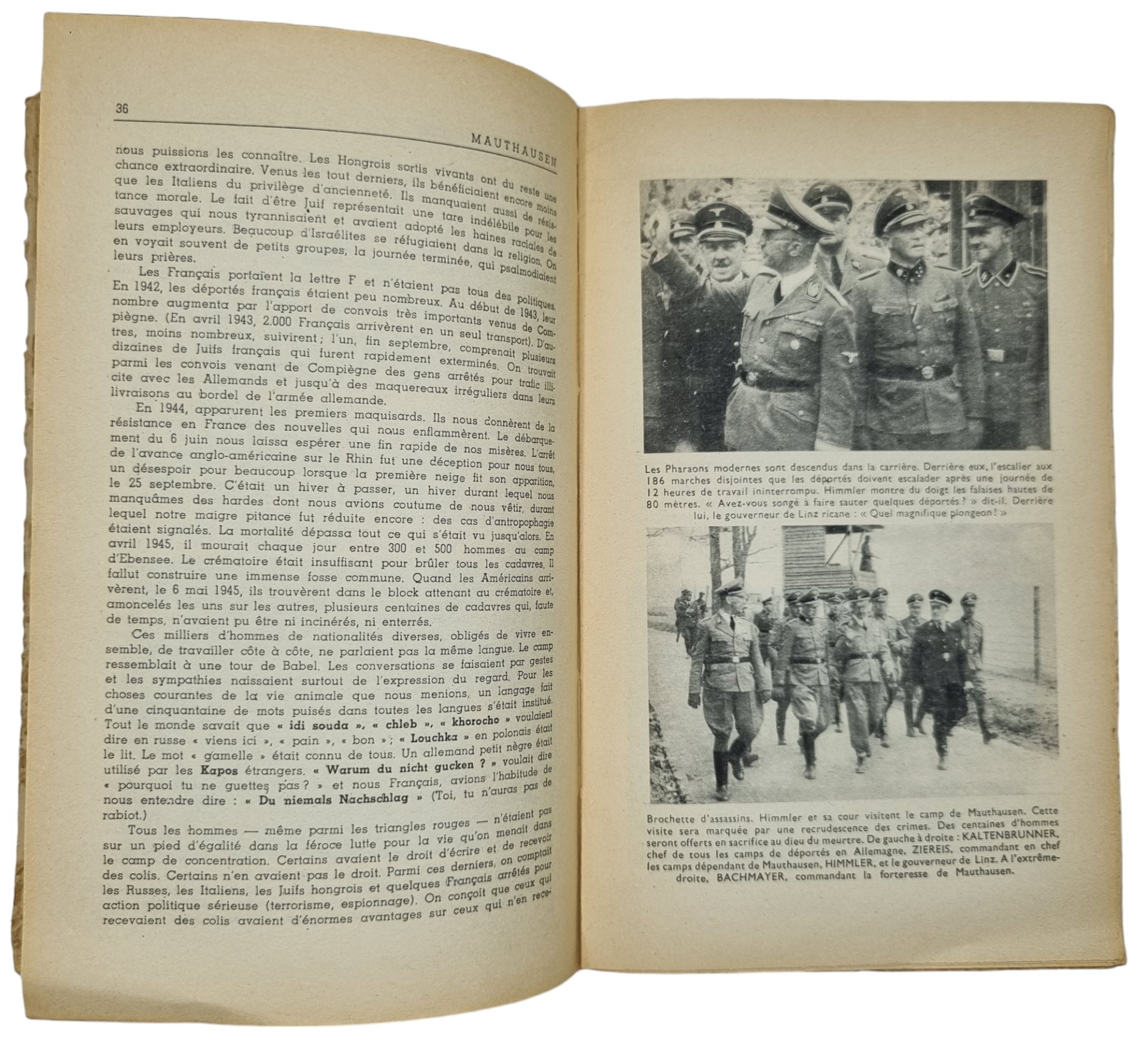 Original WW2 French Brochure - Mauthausen, Paul Tillard (1945) — image 8