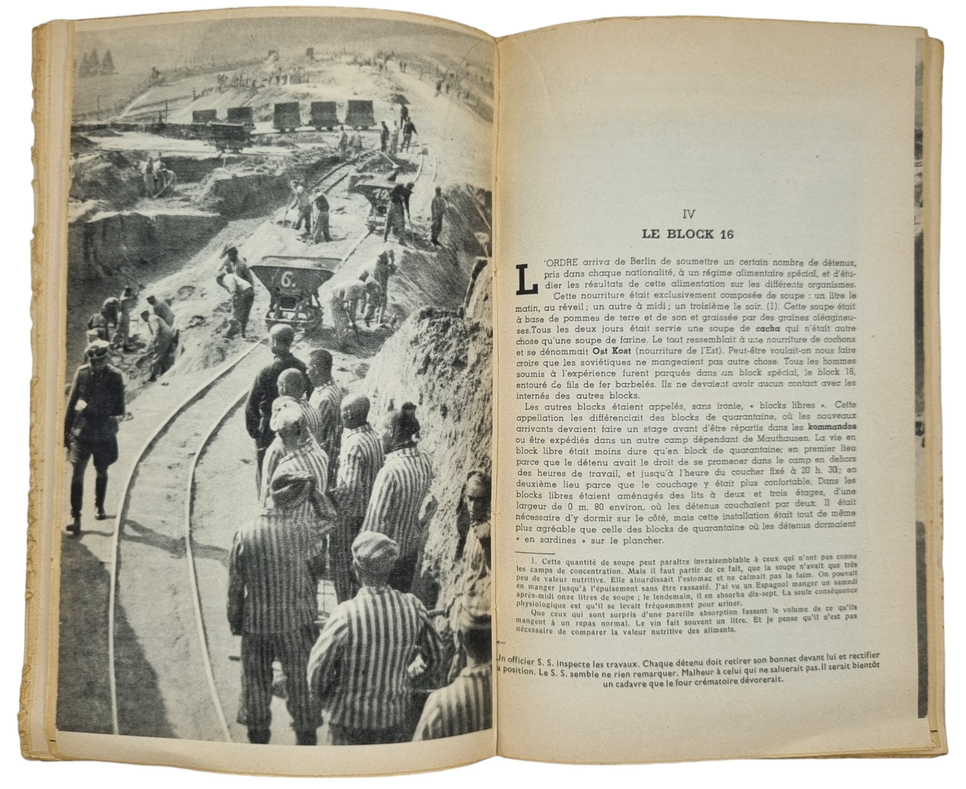 Original WW2 French Brochure - Mauthausen, Paul Tillard (1945) — image 9