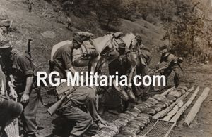 Original WW2 German Press Photo - Hungarian troops in the …