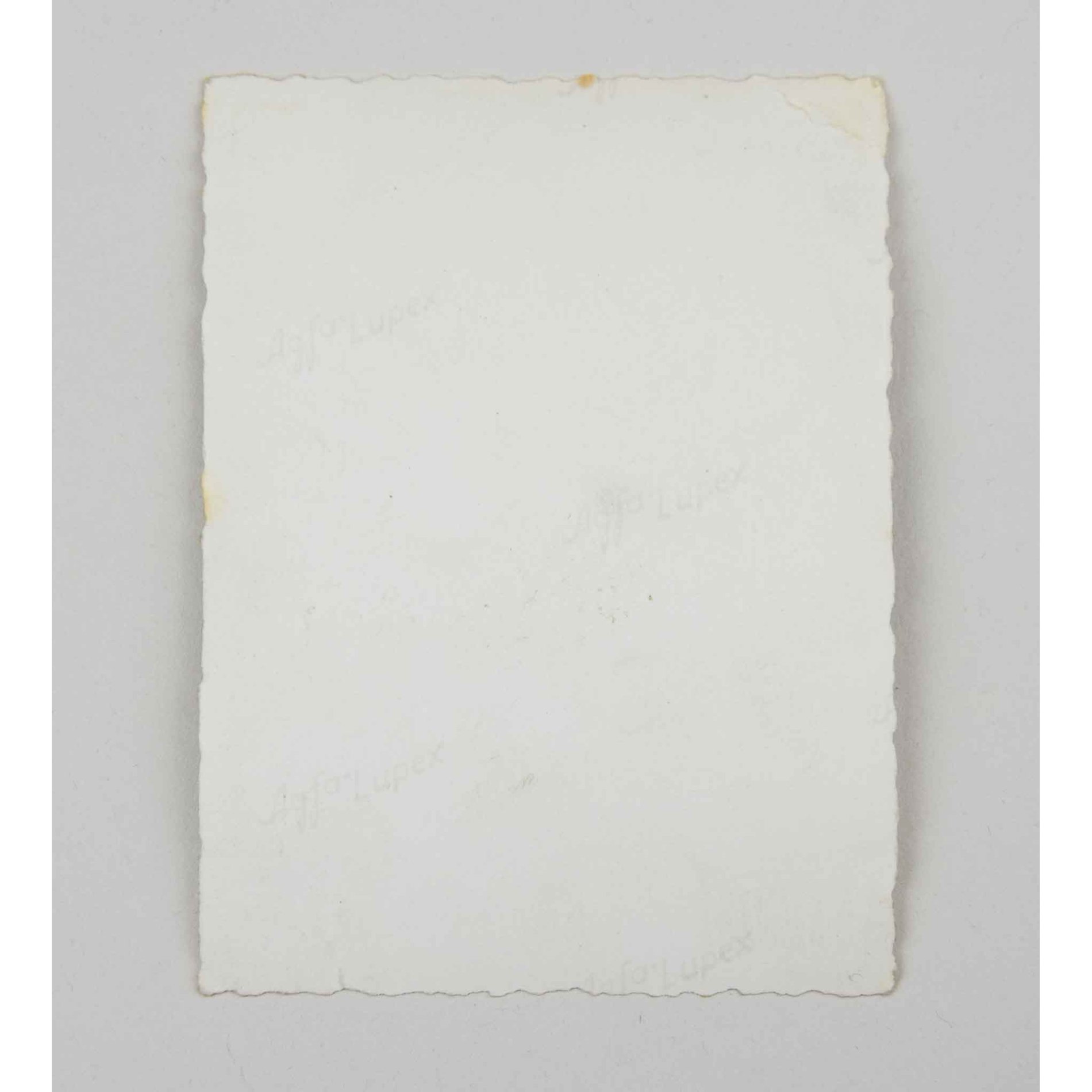 Nachlass SA-Sportabzeichen in Bronze mit Trägerfoto und Besitz-Zeugnis — image 5