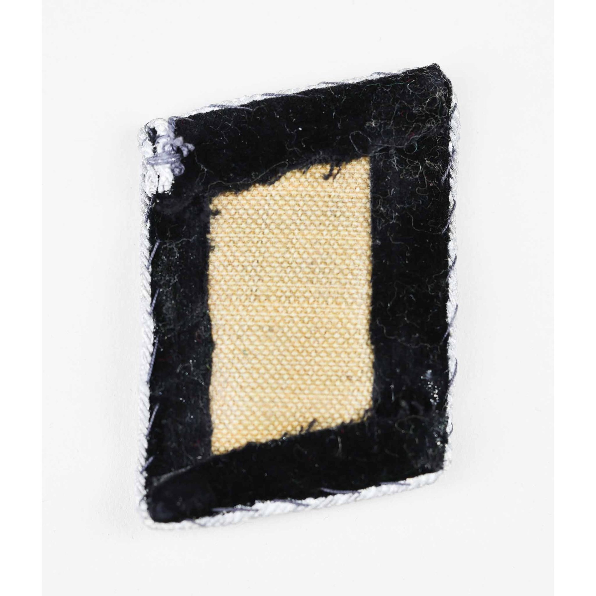 Waffen-SS Paar Kragenspiegel für einen SS-Brigadeführer — image 4