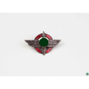 DLV Deutscher Luftsport Verband Abzeichen Mitgliedsabzeichen