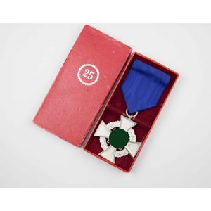 Treudienst-Ehrenzeichen Für 25 Jahre Im Etui