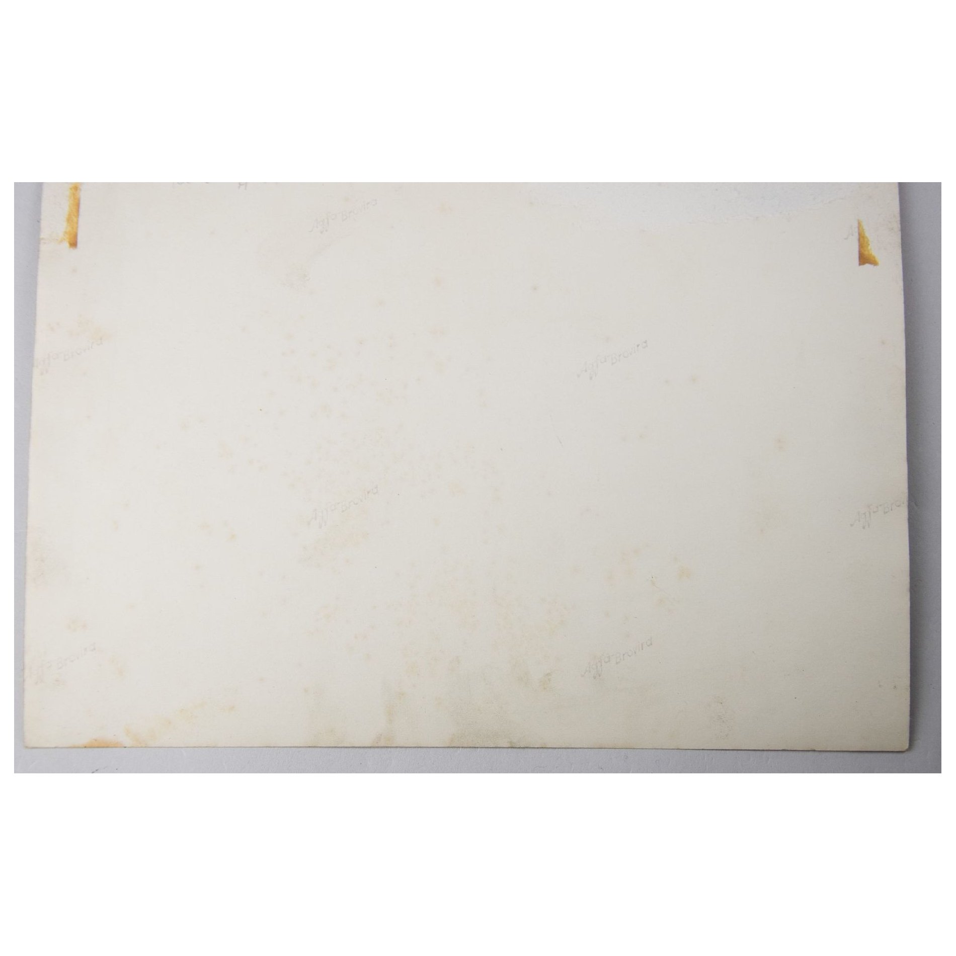 3 Große Flugzeug Fotos Foke Wulff 44, Messerschmitt Bf 110 — image 6