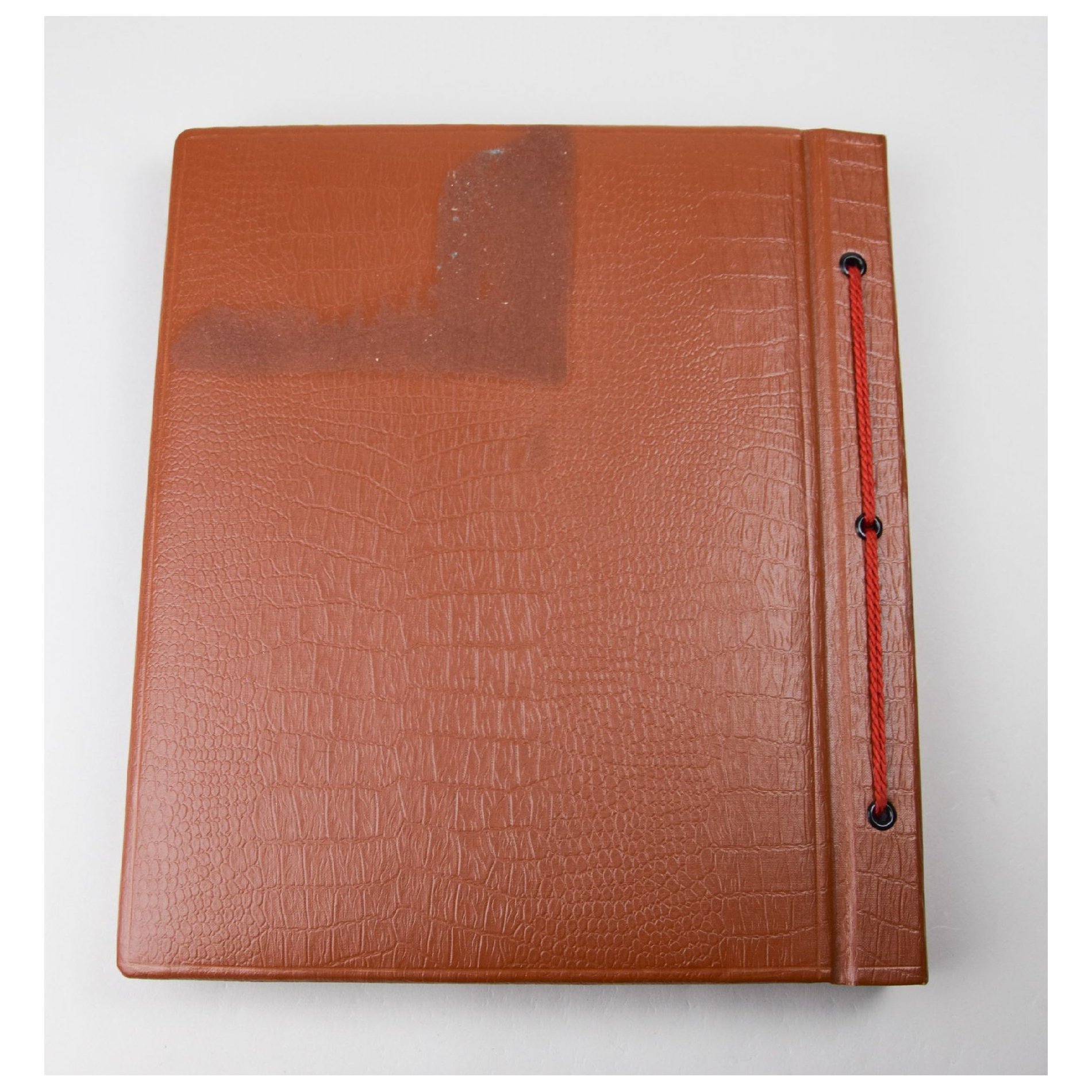 Frühes Panzer Fotoalbum Westfeldzug mit vielen Panzer Fotos — image 16