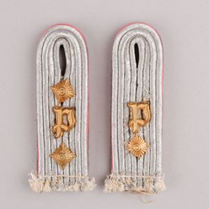 Paar Schulterstücke Panzer Reserve Hauptmann