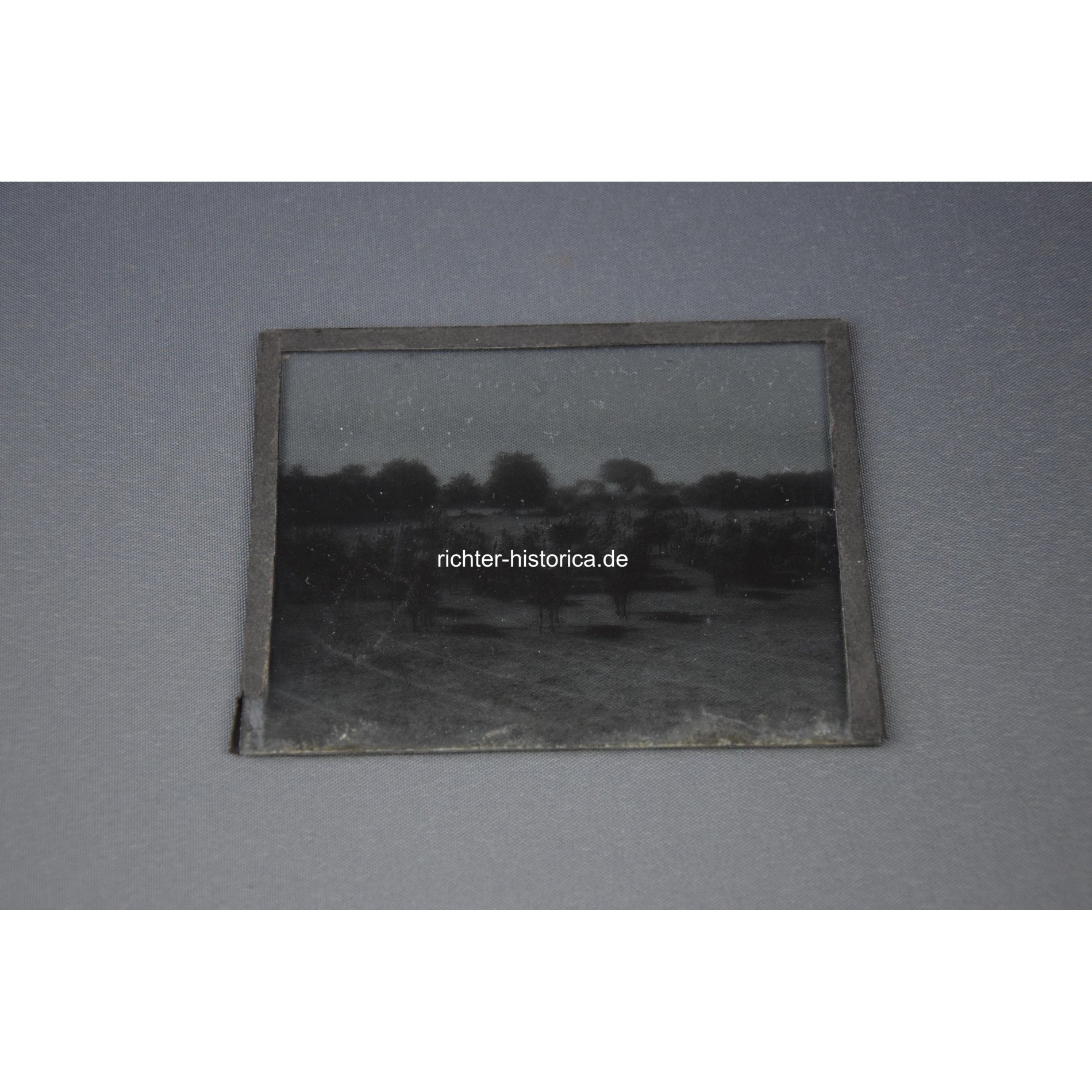 Glasnegativ Preußische Kavallerie Aufstellung — image 2