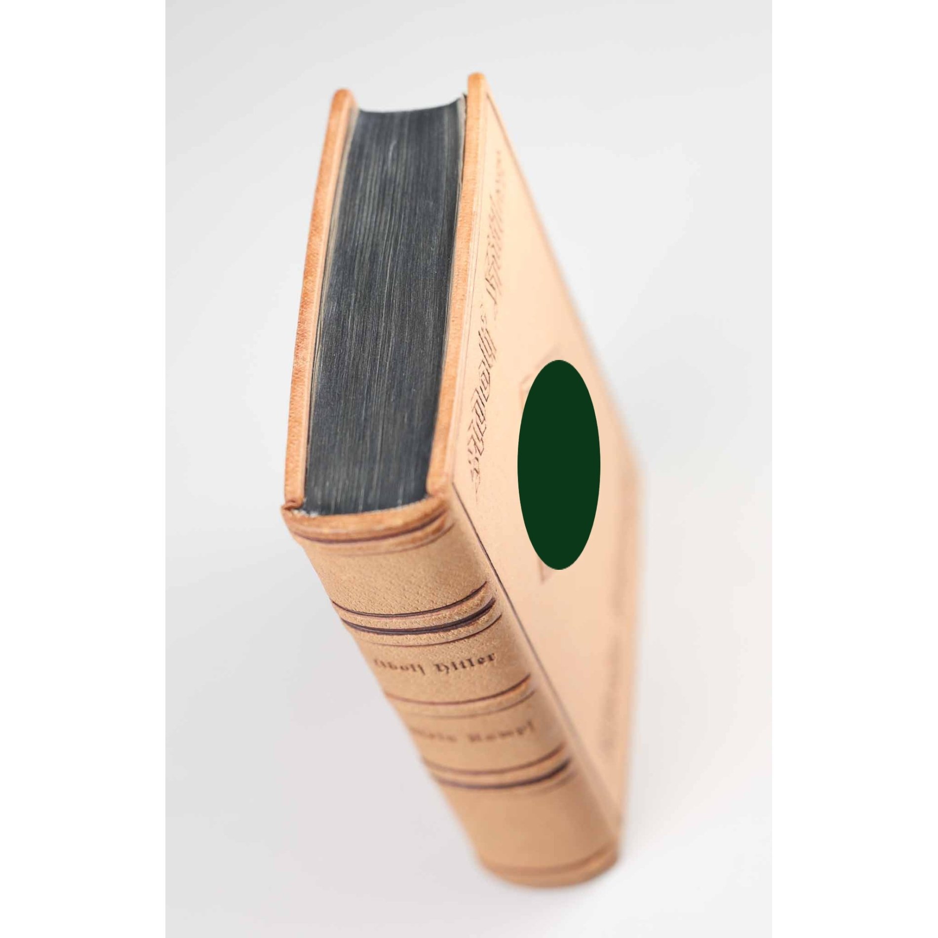 Leder Luxus Ausführung 'Mein Kampf' extrem selten! — image 3