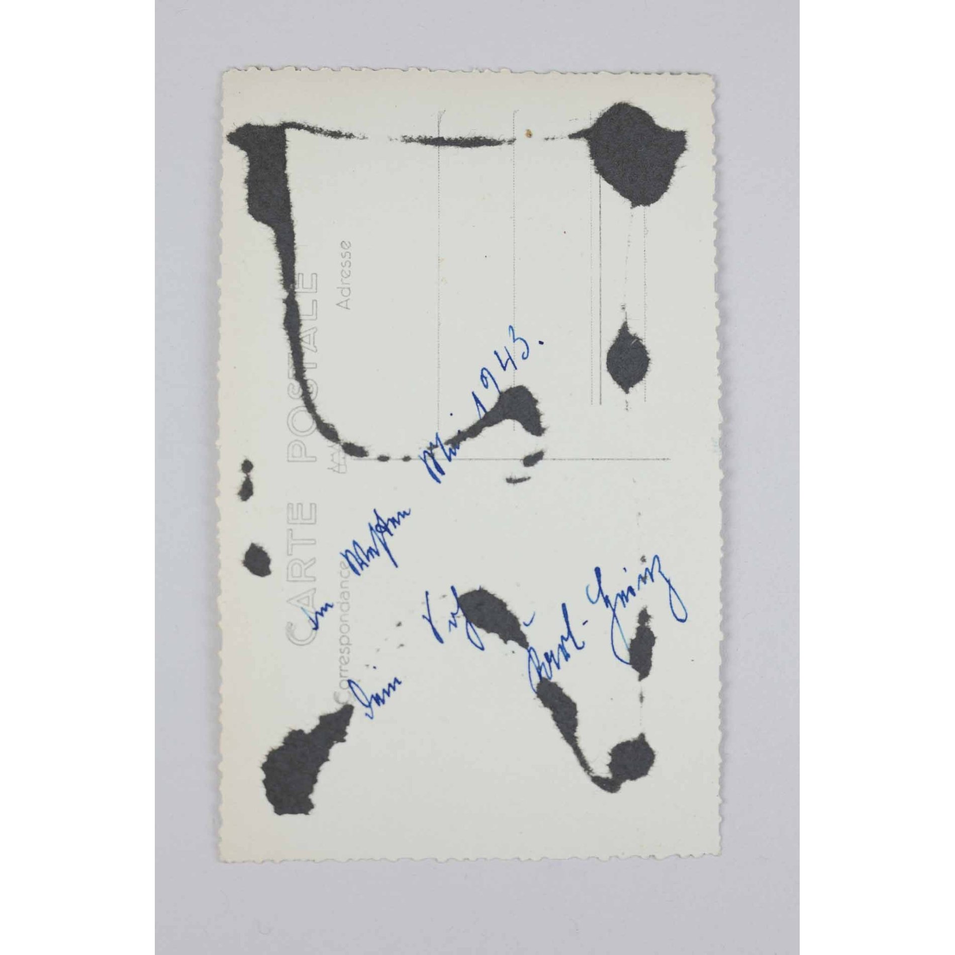 Fallschirmschützenabzeichen der Luftwaffe mit Trägerfoto — image 3