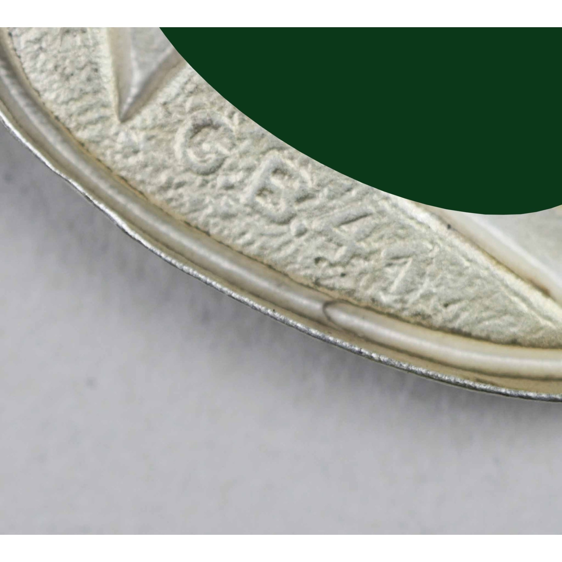 Wehrmacht Paar Embleme für den Tropenhelm Zustand 1 — image 6