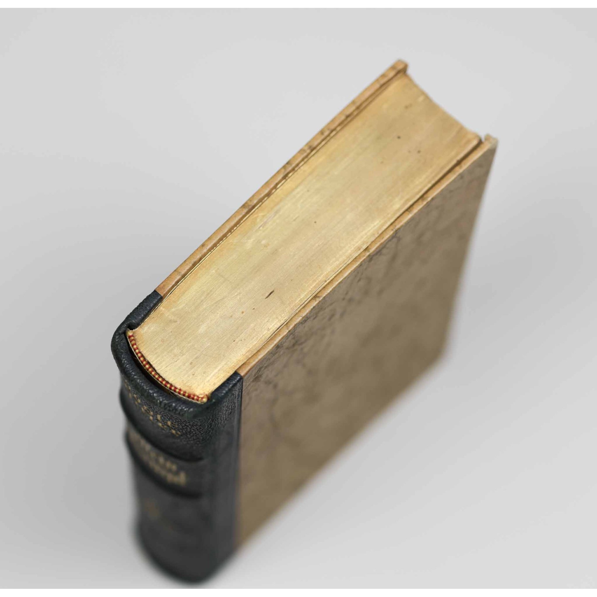 Hochzeitsausgabe 'Mein Kampf' 1937 — image 6