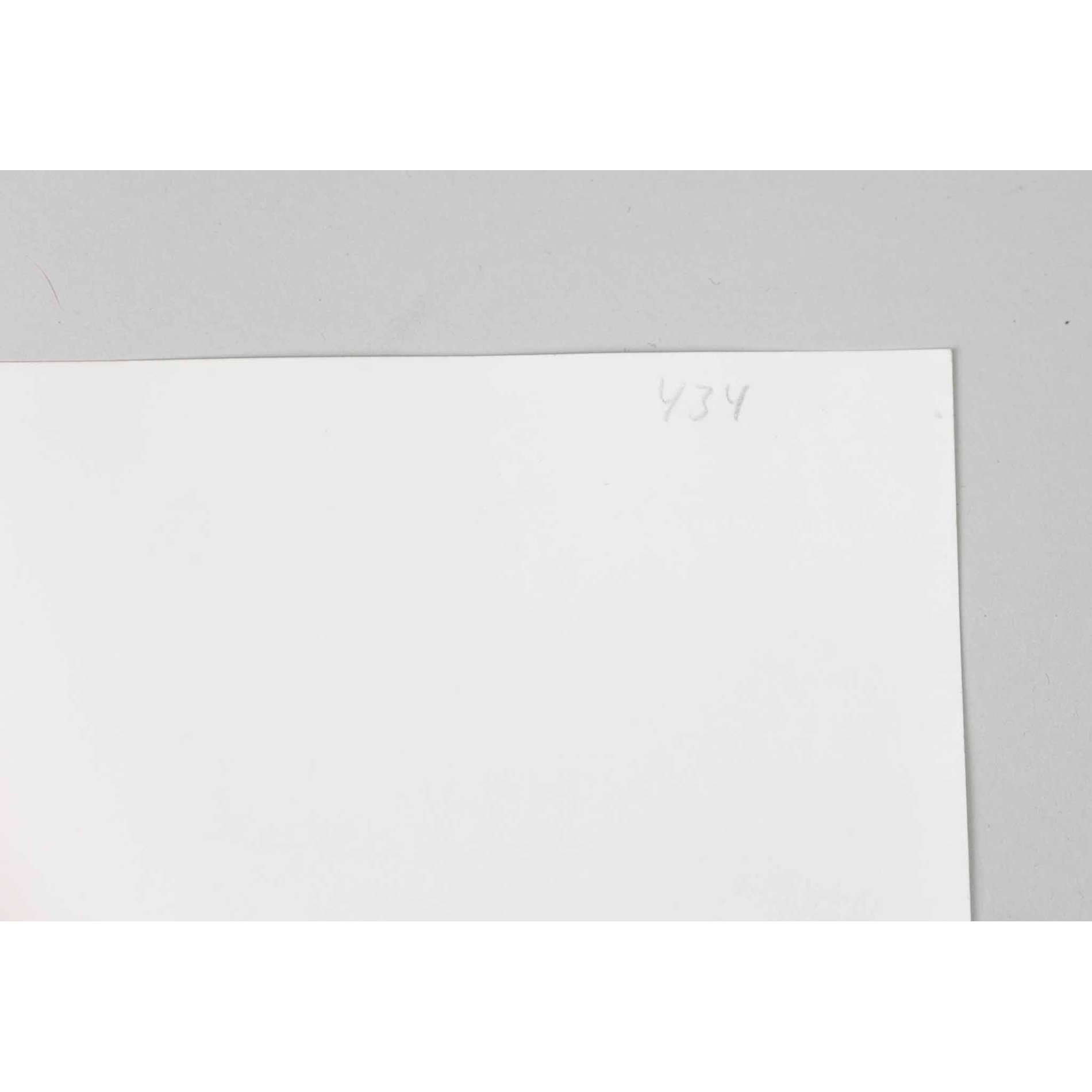 Großes Original Foto Portrait vom SS-Standartenführer Friedrich von Reitzenstein — image 4