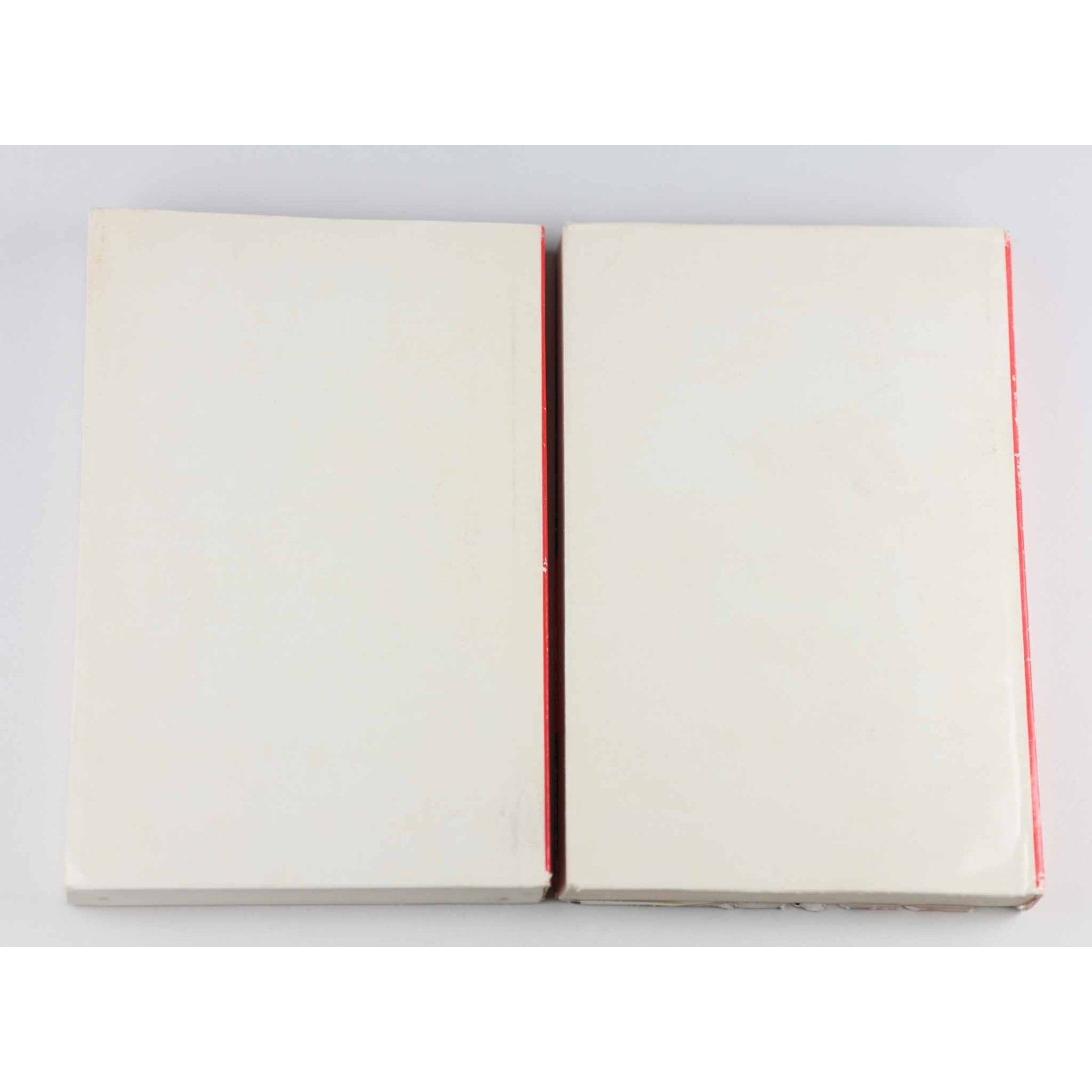 Taschenbuch 2 frühe Bände 'Mein Kampf' im Schuber — image 8