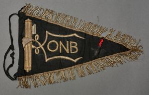 Early Italian Youth Fascist ONB Flag