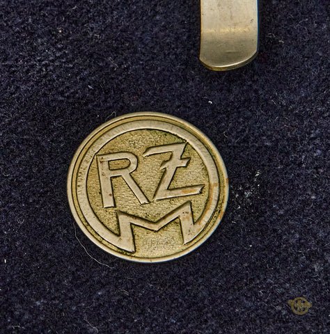 German WWII First Model SA/SS Gorget with Chain — image 6