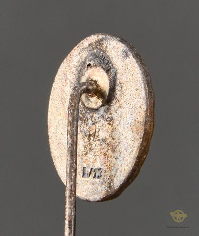 Veteran Lot of 11 German WWII Medals and 1 Ring — image 7