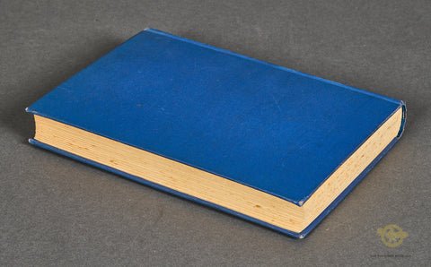 Luftshiff Voraus! By A. Colsman — image 2