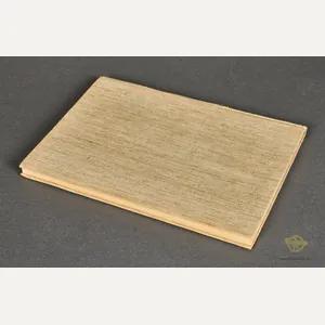 Von der SDP zur NSDAP