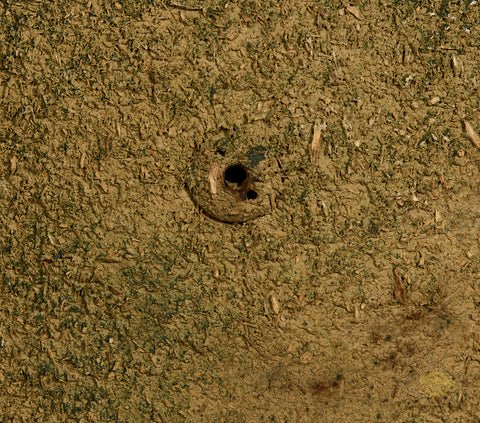 Fantastic Woodchip Camouflage Model 1938 Paratrooper Helmet — image 4