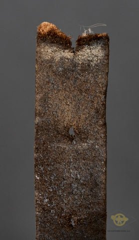 WWII German Police Model 1935 Double Decal Helmet — image 10