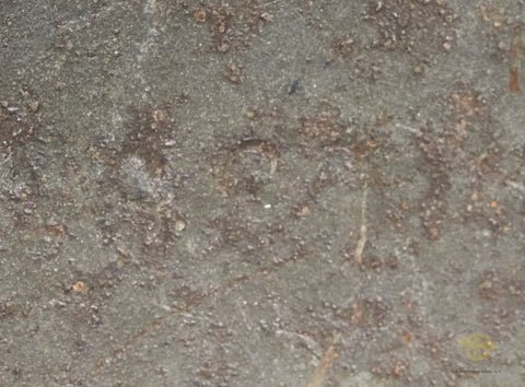 WWII German Model 1935 Camouflage Helmet — image 11