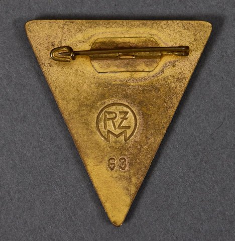 WWII German Large Size NSF Enamel Pin — image 2