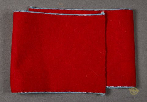 German WWII Political Leader for Anwärter (ORTS Level) — image 2