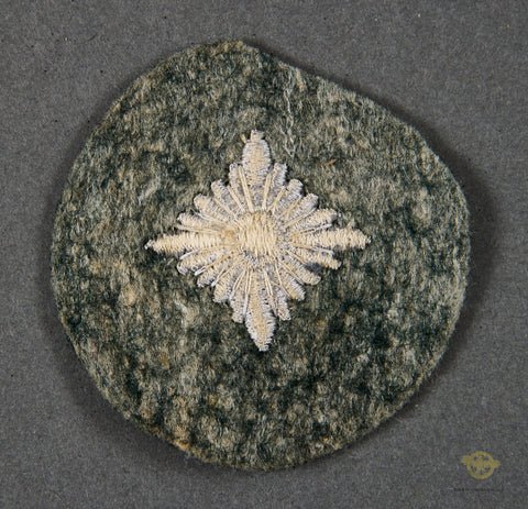 German WWII Allgemeine SS Rank Pip — image 2