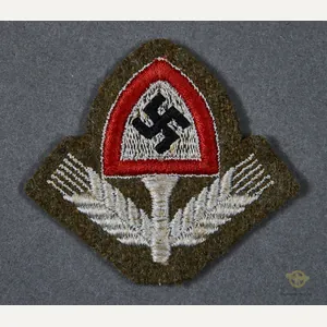 German WWII Labor Korps Cap Insignia
