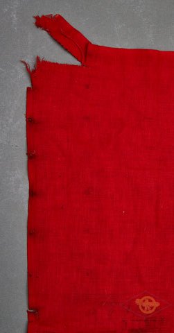 Veteran Bring Back German WWII NSDAP Party Banner — image 4