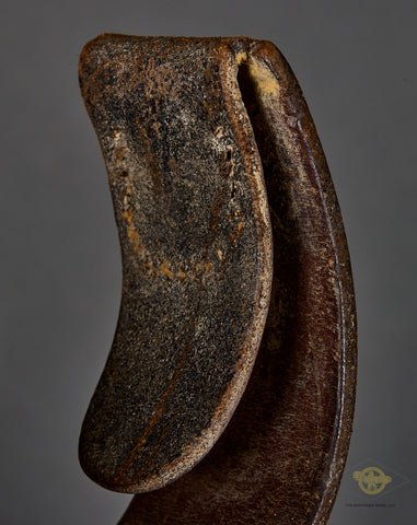 German WWII Combat Belt — image 4