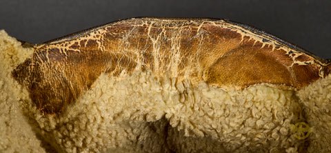 Veteran Bring Back German WWII Luftwaffe Crew Member Flight Cap — image 8