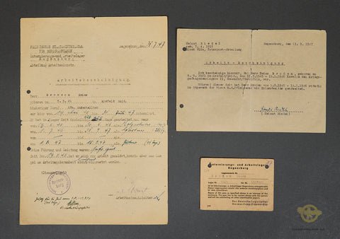 INCREDIBLE SS Document Grouping with SS Photo Album for the Same Soldier — image 27