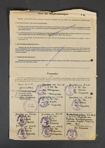 INCREDIBLE SS Document Grouping with SS Photo Album for the Same Soldier — image 30